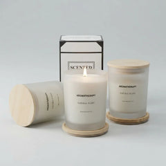 Three Aromatherapy Natural Plant scented candles in frosted glass jars with light wood lids and coasters, shown with one lit candle, one tipped over, and the branded box on a clean light gray background.