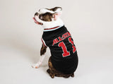 A Boston Terrier dog wearing a black pet jersey with red and white trim, featuring 'ALL STAR' and the number '13' on the back, photographed against a light gray studio background.