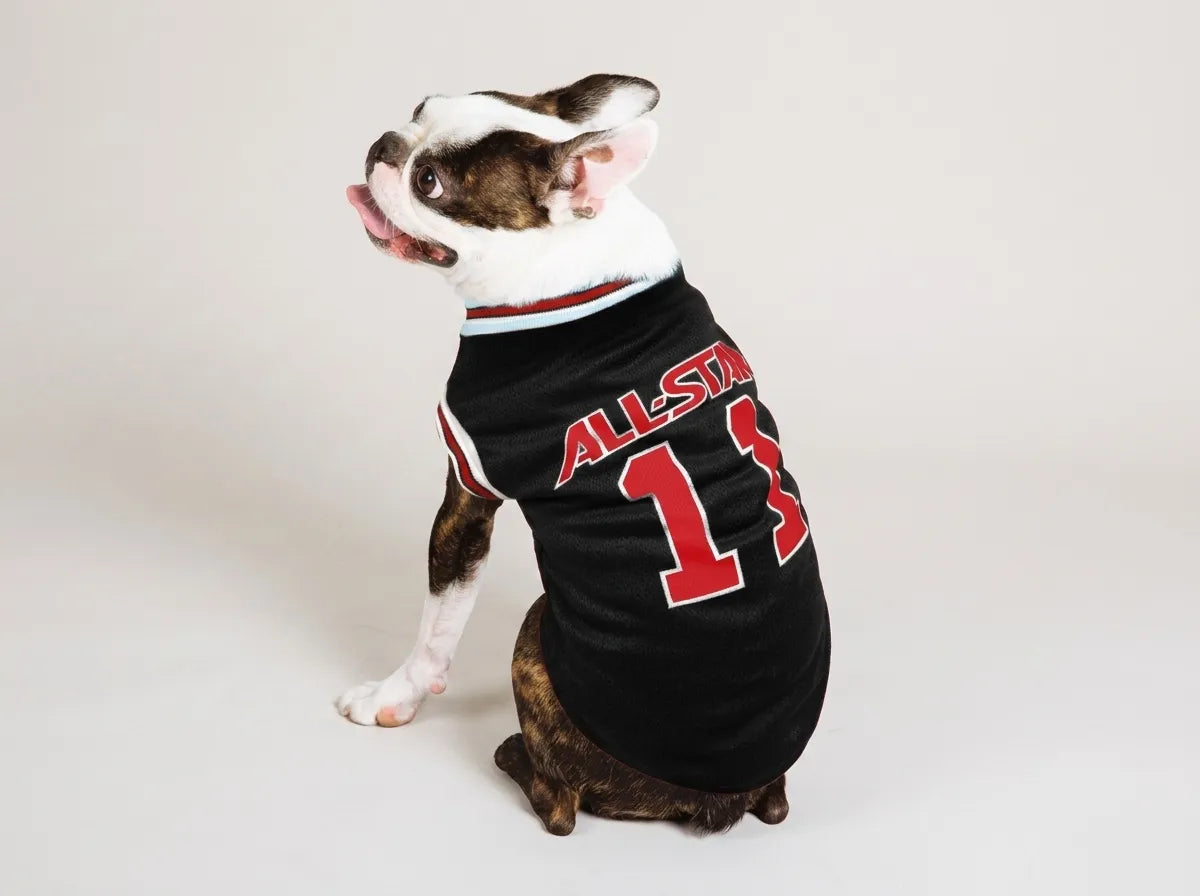 A Boston Terrier dog wearing a black pet jersey with red and white trim, featuring 'ALL STAR' and the number '13' on the back, photographed against a light gray studio background.