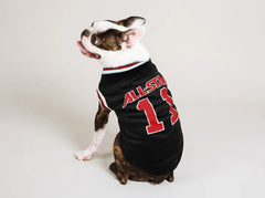 A Boston Terrier dog wearing a black pet jersey with red and white trim, featuring 'ALL STAR' and the number '13' on the back, photographed against a light gray studio background.