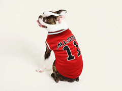 A small Boston Terrier dog wearing a red sports jersey-style pet shirt with 'ALL-STAR' and the number '1' on the back, photographed against a plain light background.