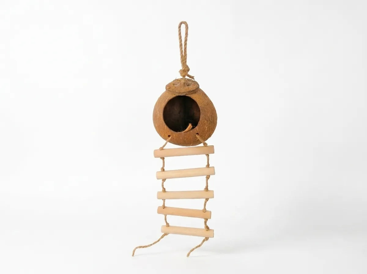 A natural wood and rope bird toy featuring a hollowed coconut shell perched above a small wooden ladder, hanging against a plain white background.