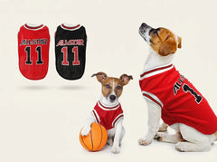 Two dogs wearing red and black pet jerseys with 'ALLSTAR 11' are shown on a light beige background, alongside two floating jersey views. One dog wears a red jersey and sits next to an orange basketball.