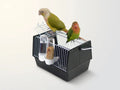 A black and silver wire bird carrier with two small birds perched on top, plus two hanging water bottles, shown against a plain light background.