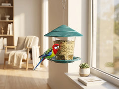 A hanging bird feeder with a teal conical roof and tray, filled with seed, shown in a bright living room with a colorful parrot perched on the feeder next to a window.