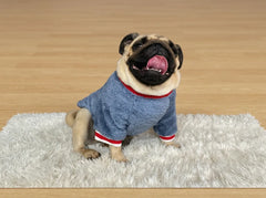 A pug dog wearing a blue knit sweater with red and white trim, sitting on a white shag rug over a light wood floor.