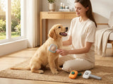 A woman sits on a woven rug in a bright room, grooming a golden retriever with a handheld pet brush. Two pet grooming tools are placed on the floor nearby.
