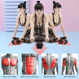 A fitness wheel ab roller shown with three views of a woman using it, plus four anatomical muscle diagrams at the bottom labeled Pectoralis Major, Abdominal Muscles, Back Muscles, and Arm Muscles.