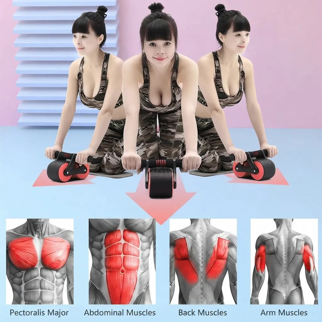A fitness wheel ab roller shown with three views of a woman using it, plus four anatomical muscle diagrams at the bottom labeled Pectoralis Major, Abdominal Muscles, Back Muscles, and Arm Muscles.