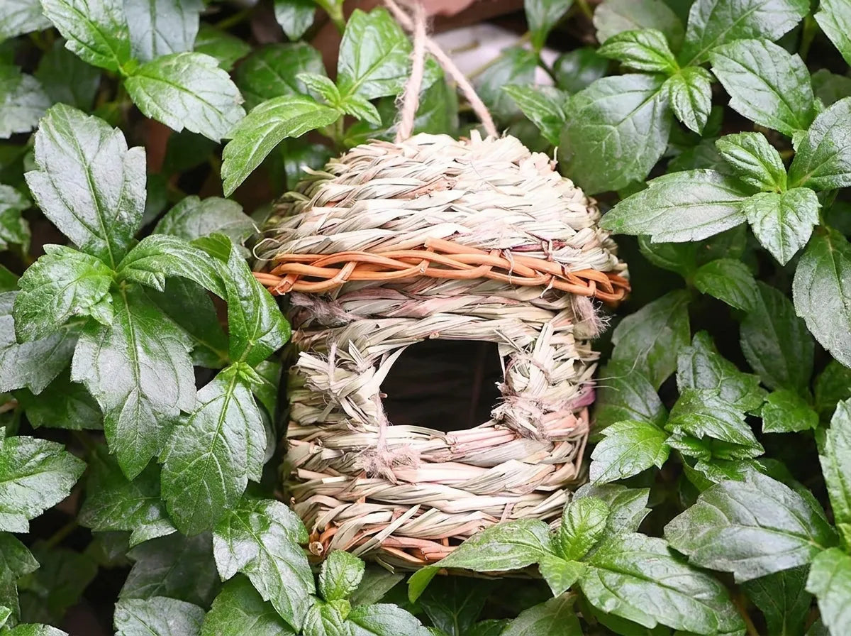 Hand-Woven Natural Grass Bird Nest House