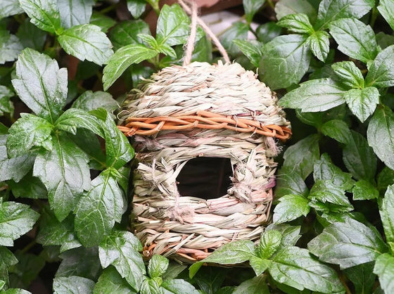 Hand-Woven Natural Grass Bird Nest House